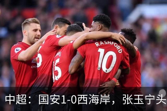 中超：国安1-0西海岸，张玉宁头槌，法比奥伤退