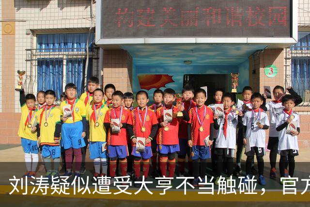 刘涛疑似遭受大亨不当触碰，官方媒体发声严厉评论，为她讨回公道，杨幂的言论成真了