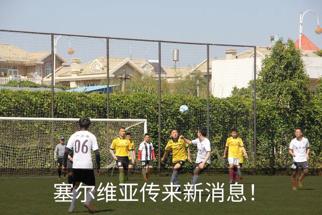 塞尔维亚传来新消息！