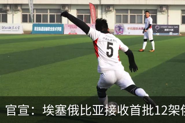 官宣：埃塞俄比亚接收首批12架俄制苏-35战斗机，比原计划提前一年交付
