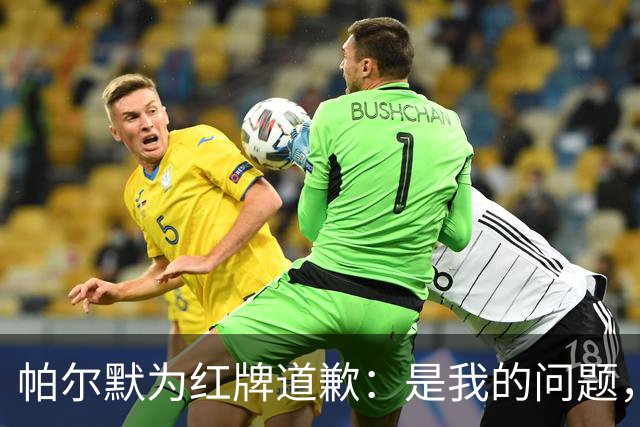 帕尔默为红牌道歉：是我的问题，会吸取教训