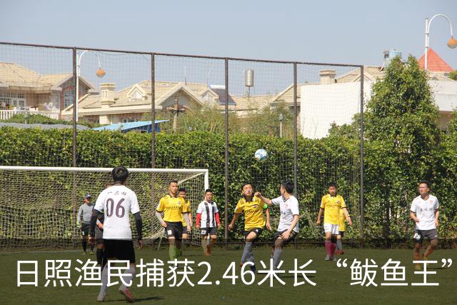日照渔民捕获2.46米长“鲅鱼王”，重达268斤，当地一水饺厂老板花数万元买下：原想做成鲅鱼水饺，改了主意想把它做成标本