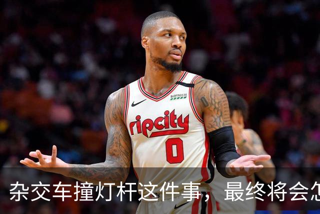 杂交车撞灯杆这件事，最终将会怎样收场？
