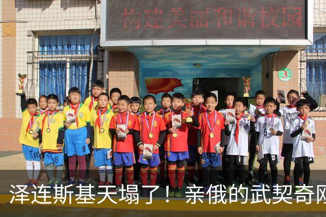 泽连斯基天塌了！亲俄的武契奇刚下台，新政府就针对乌克兰