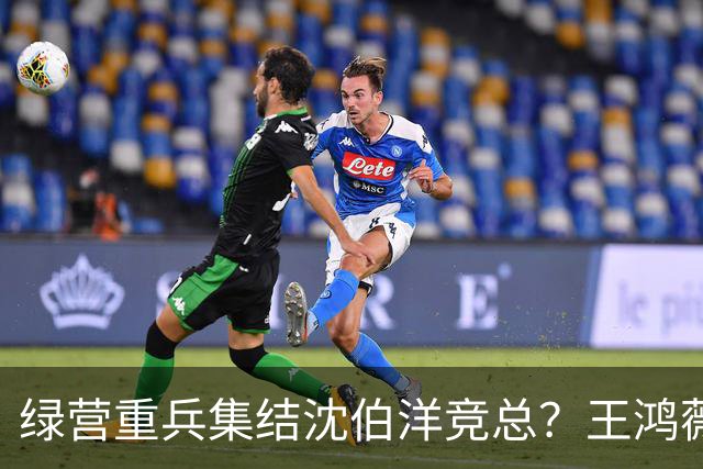 绿营重兵集结沈伯洋竞总？王鸿薇示警：蒋万安辩论恐遭断章取义